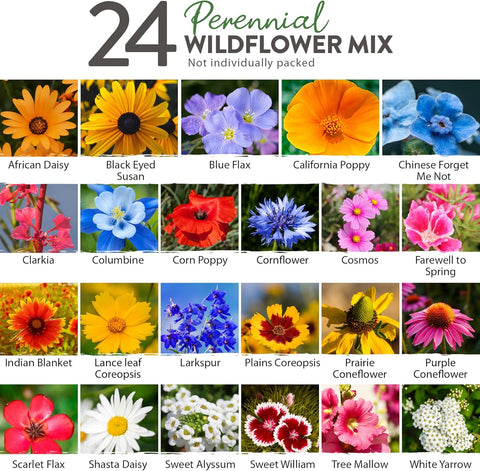 regional wildflower seed mixes North American Wildflower Seeds, 24 Variety, 3oz