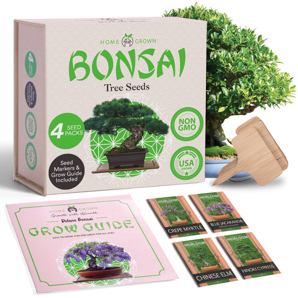 Deluxe Mini Bonsai Tree Kit