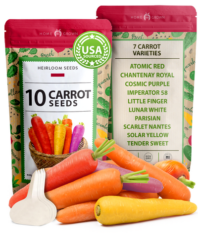 10 Varieties Rainbow Carrot Seeds