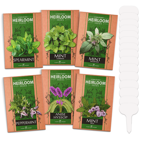 Mint Seed Pack - (6 Variety)