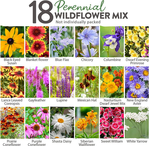 Wildflower Seeds - Perennial (18 Variety) 3oz