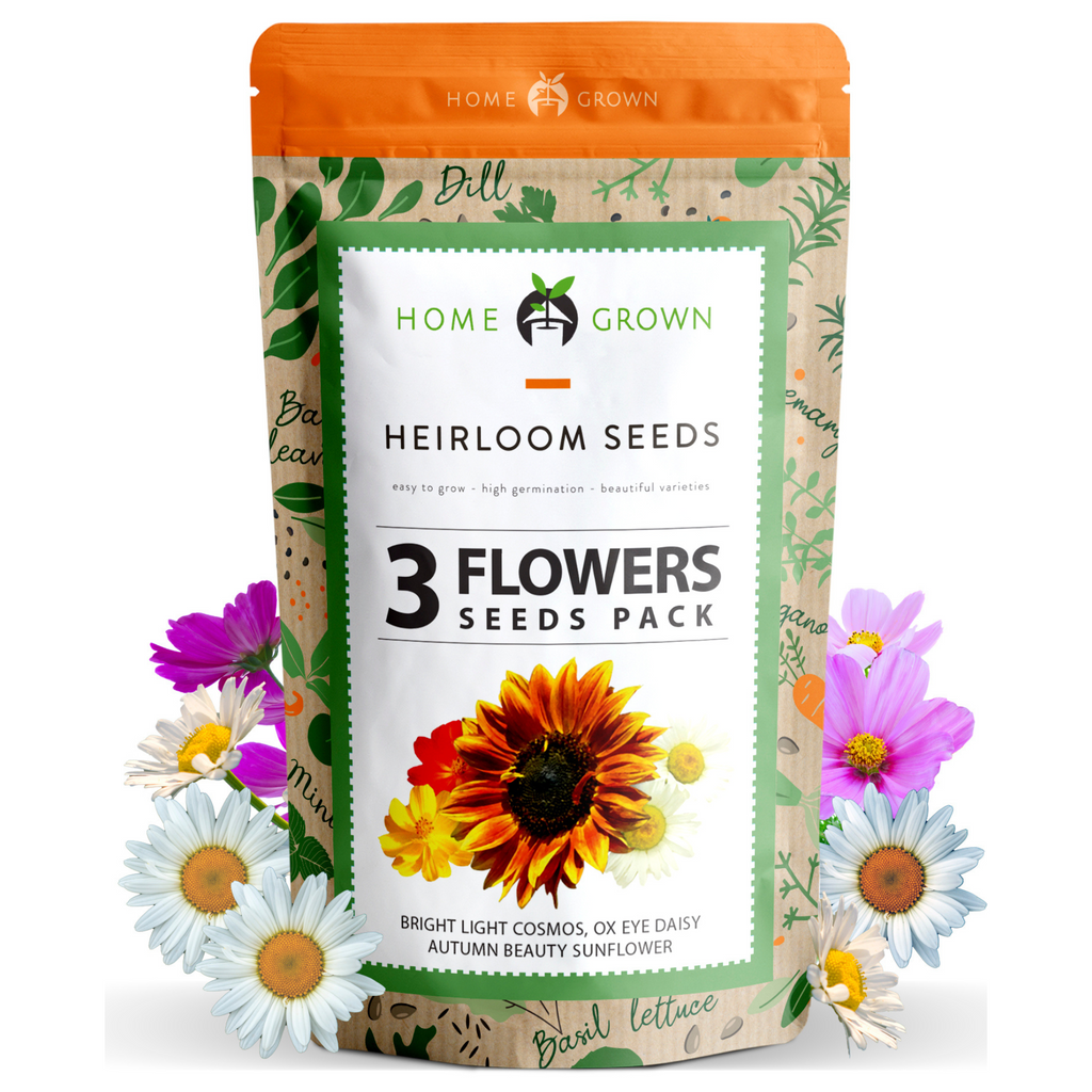 3 Flowers Seed Pack - Cosmos, Oxeye Daisy, and Autumn Beauty Sunflower