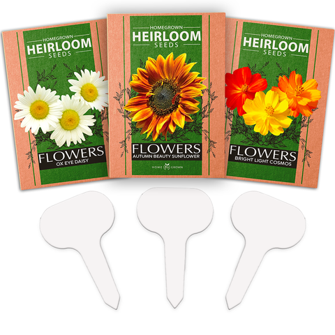 3 Flowers Seed Pack - Cosmos, Oxeye Daisy, and Autumn Beauty Sunflower