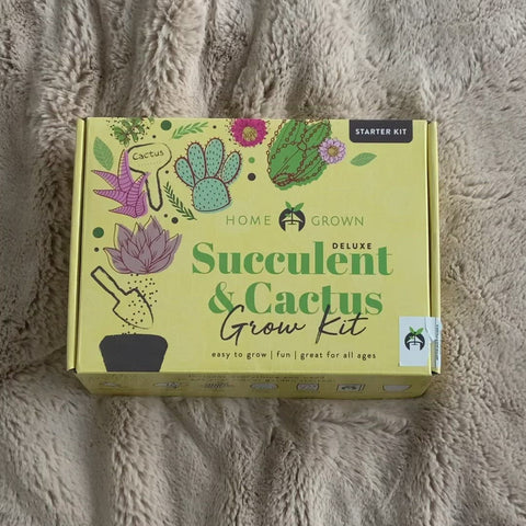 Deluxe Succulent & Cactus Grow Kit