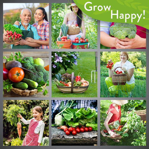 Heirloom Vegetable Seeds - (25 Variety)