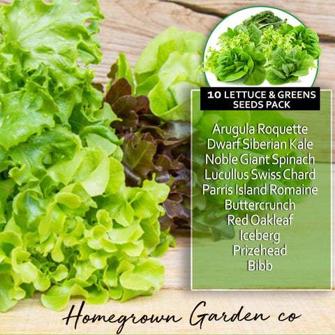 Lettuce and Leafy Greens Vegetable Seeds (10 Variety)