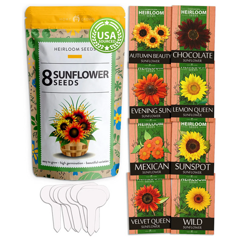 Sunflower Seeds - (8 Variety)