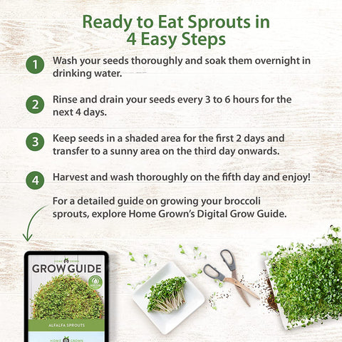 8oz Alfalfa Sprouting Seeds