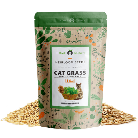Cat Grass Seeds Bulk