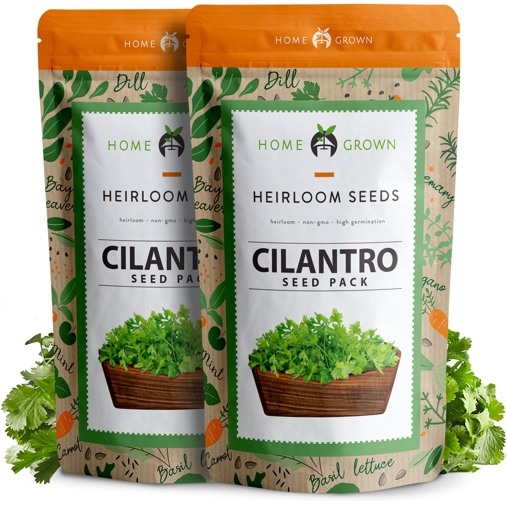 Home Grown Cilantro Seeds - 2 Packs