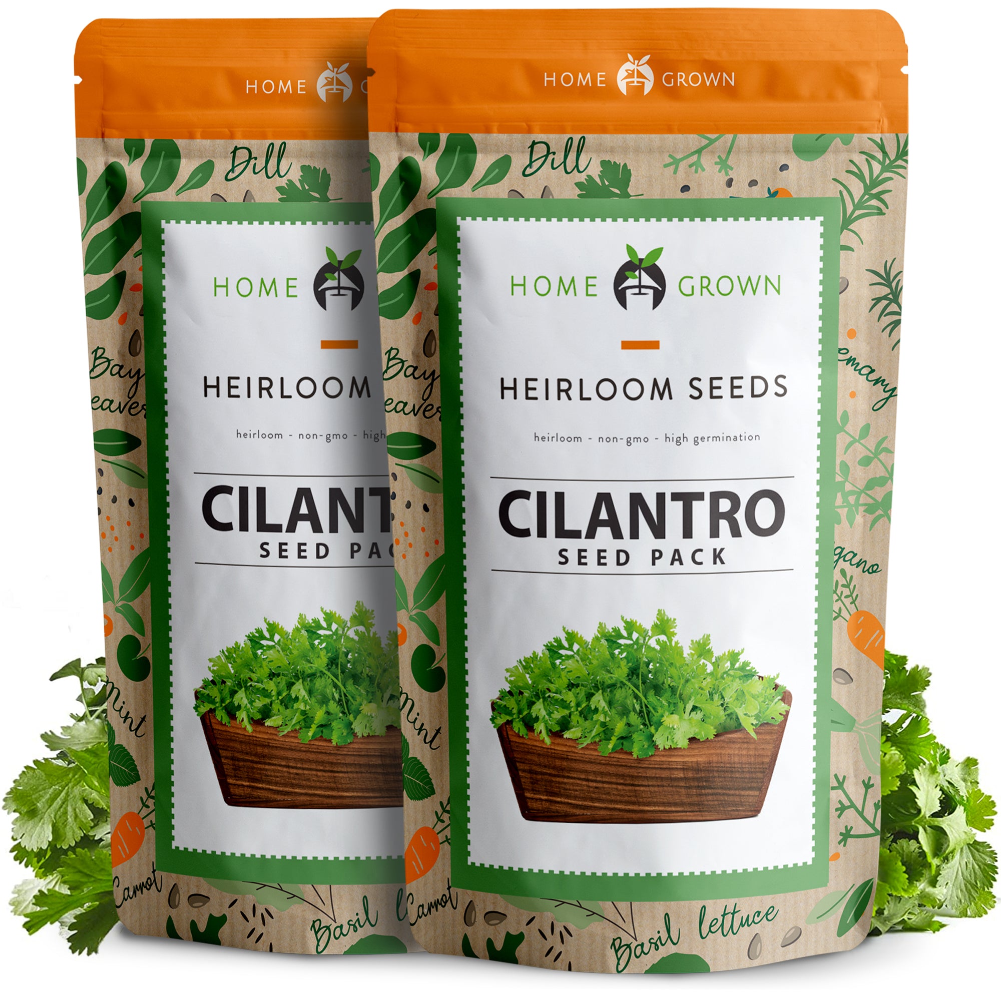 cilantro seeds for planting Home Grown Cilantro Seeds
