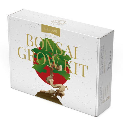 Deluxe Bonsai Tree Kit