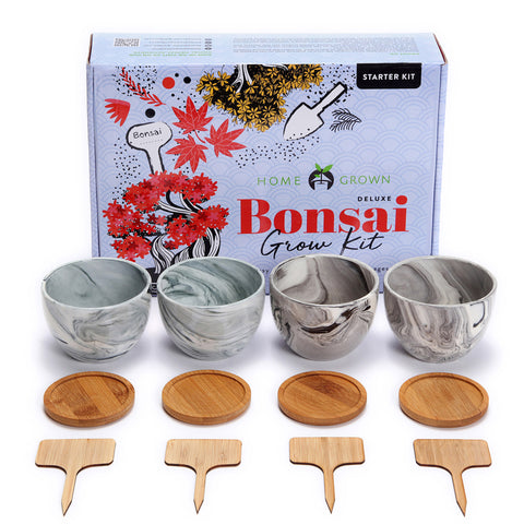 Deluxe Bonsai Tree Grow Kit