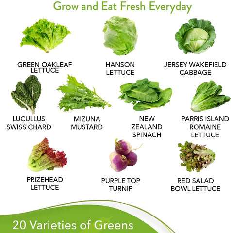 Lettuce and Leafy Greens Vegetable Seeds - (20 Variety)