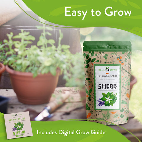 5 Herb Seed Variety Pack