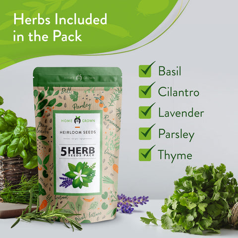 5 Herb Seed Variety Pack