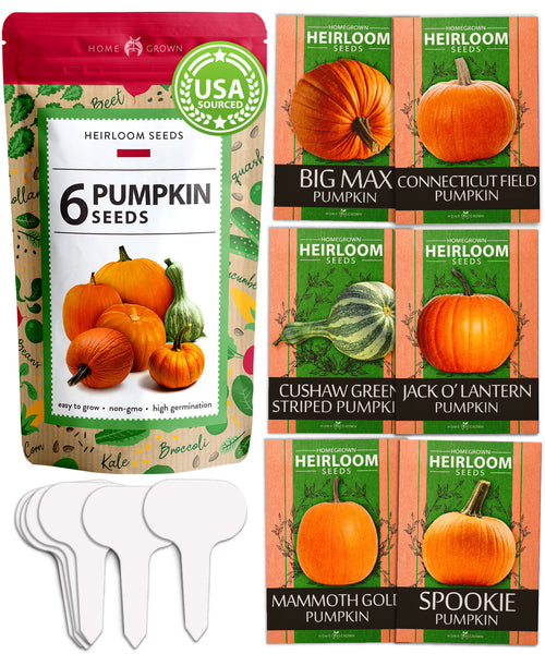 wholesale pumpkin seeds for planting 6 Varieties Pumpkin Seeds Pack, Heirloom, Non-GMO
