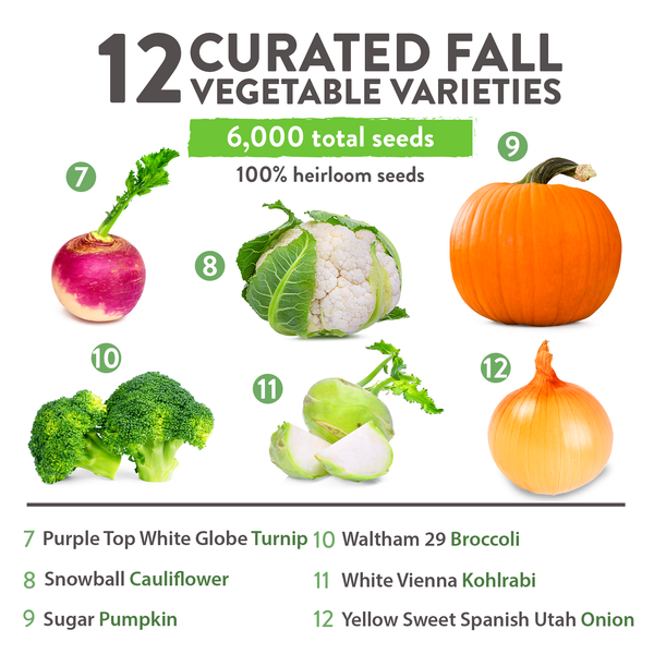 12 Varieties Fall Vegetable Seeds - Homegrown Garden