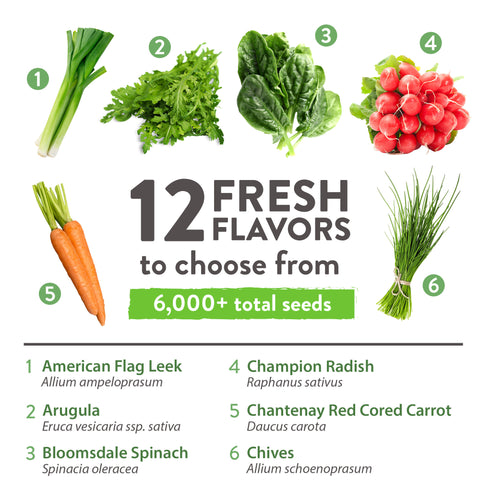 spring vegetable garden seeds Heirloom Spring Vegetable Seeds, 12 Variety Pack
