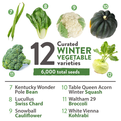 types of garden seeds 12 Winter Vegetable Seeds Varieties, Non-GMO, USA Grown
