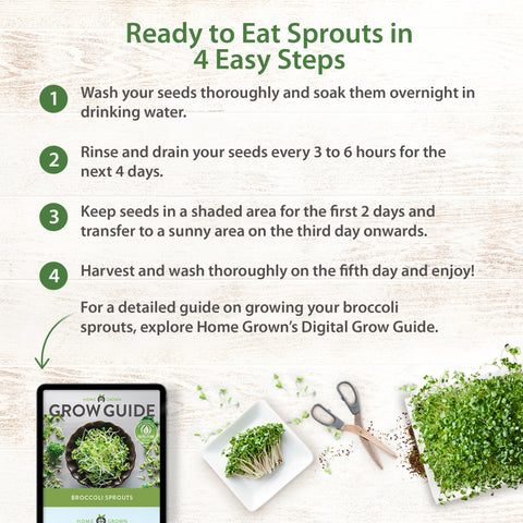 broccoli seeds planting instructions Broccoli Sprouting Seeds, 8oz, Non-GMO, USA Grown