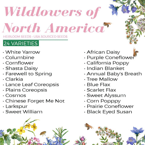 Wildflower Seeds - North American Region - (24 Variety) 3oz