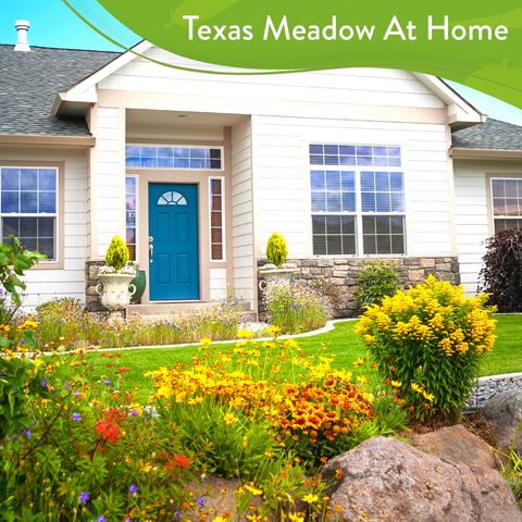 texas wildflower seeds home depot Texas Wildflower Seeds, 23 Varieties, 3oz, USA Grown