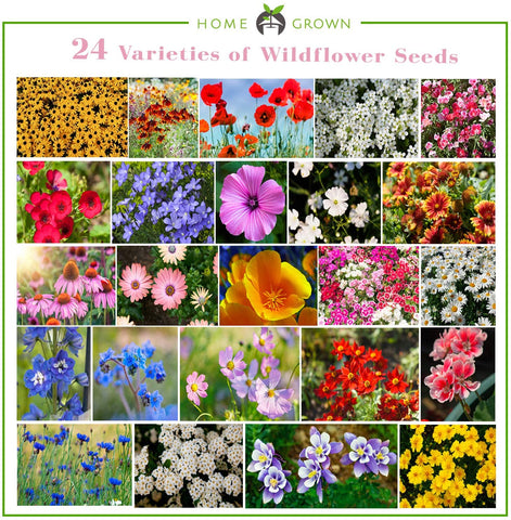 Wildflower Seeds - Perennial - (25 Variety) 4oz - Homegrown Garden