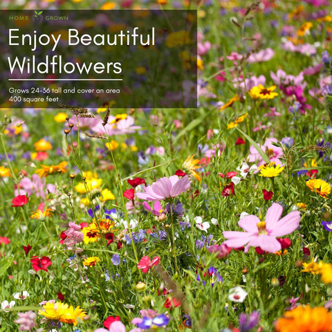Wildflower Seeds - Perennial - (25 Variety) 4oz - Homegrown Garden