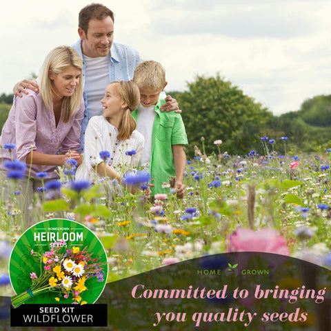 wildflower seeds annual Annual Wildflower Seeds, 21 Variety Mix, 3oz, USA Grown