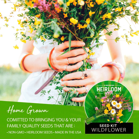 Wildflower Seeds - Perennial (18 Variety) 3oz
