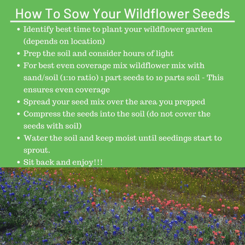 Wildflower Seeds - Perennial (18 Variety) 3oz