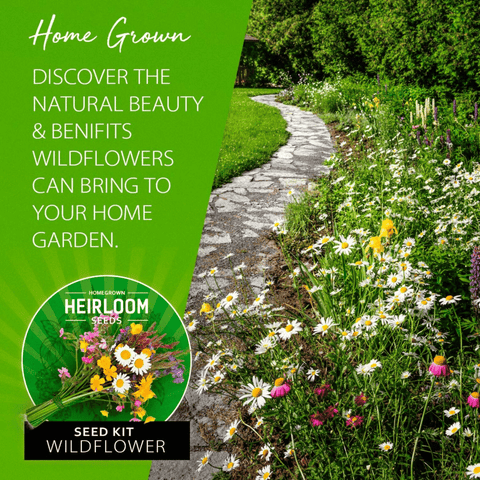 Wildflower Seeds - Perennial (18 Variety) 3oz