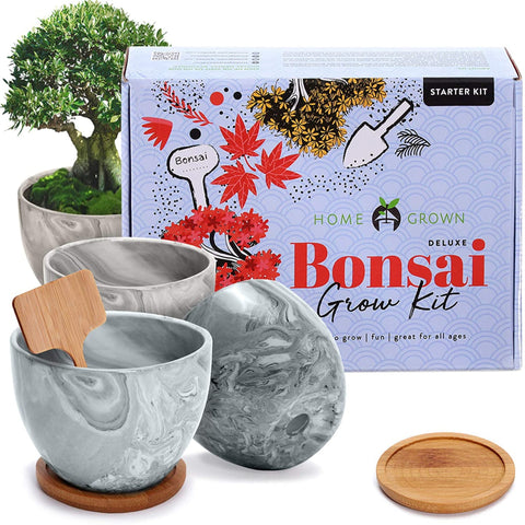 Deluxe Bonsai Tree Grow Kit