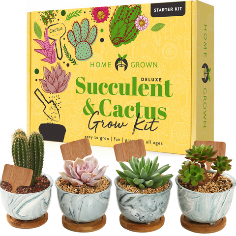 HOME GROWN Succulent & Cactus Seed Kit for Planting – [Enthusiasts  Favorites] Premium Cactus & Succulent Starter Kit: 4 Planters, Drip Trays,  Markers