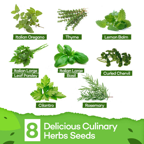 Deluxe Herb Garden Grow Kit