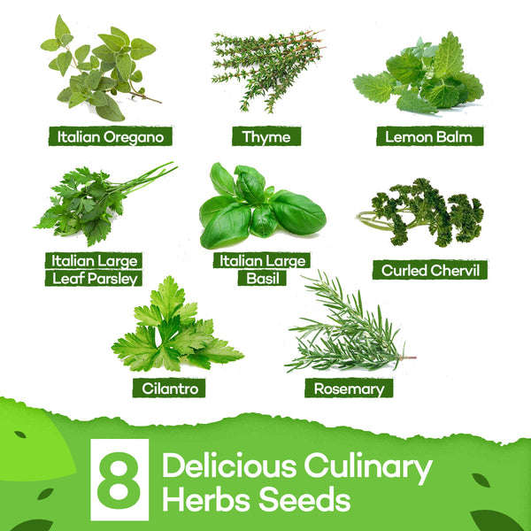 Deluxe Herb Garden Grow Kit - Homegrown Garden