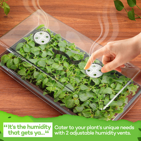 Seed Starter Trays with Humidity Dome