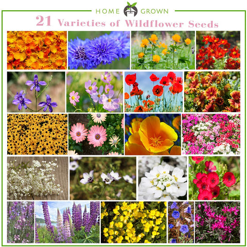 homegrown wildflower seeds Annual Wildflower Seeds, 21 Variety Mix, 3oz, USA Grown